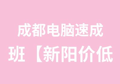 成都电脑速成班【新阳价低】