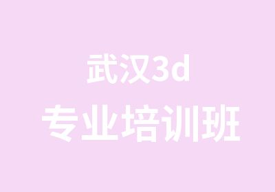 武汉3d专业培训班