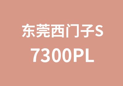 东莞西门子S7300PLC工程师班