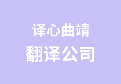 译心曲靖翻译公司