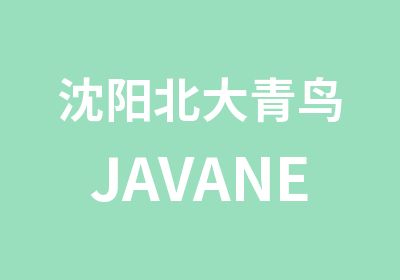 沈阳北大青鸟JAVANET开发