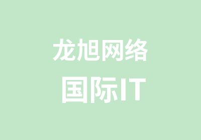 龙旭网络国际IT