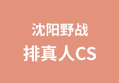 沈阳野战排真人CS