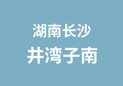 湖南长沙井湾子南