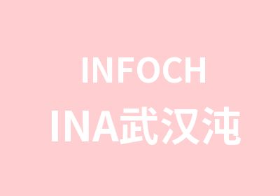 INFOCHINA武汉沌口excel培训