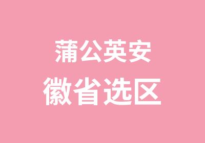 蒲公英安徽省选区