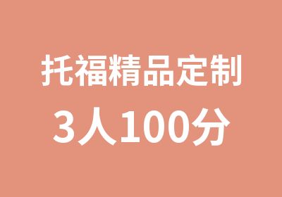 托福精品定制3人100分班（B+C）