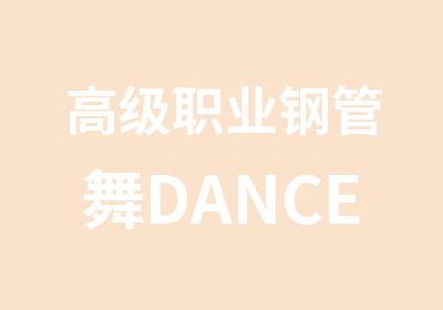 职业钢管舞DANCER表演班