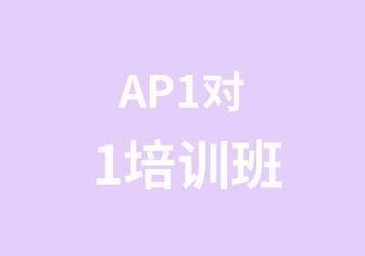 AP1对1培训班