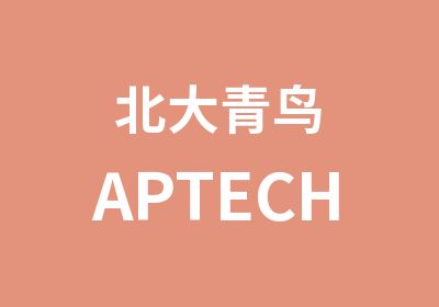 北大青鸟APTECH