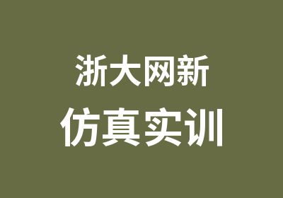 浙大网新实训