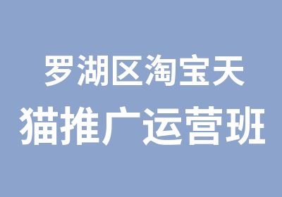 罗湖区天猫推广运营班培训