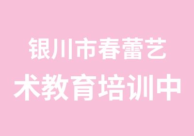 银川市春蕾艺术教育培训中心