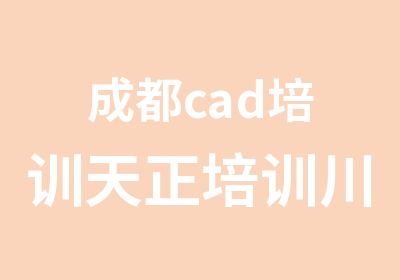 成都cad培训天正培训川软招生进行时