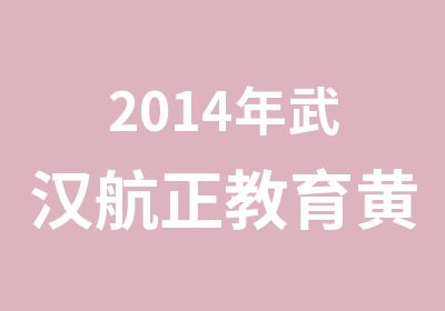 2014年武汉航正教育黄金投资分析师