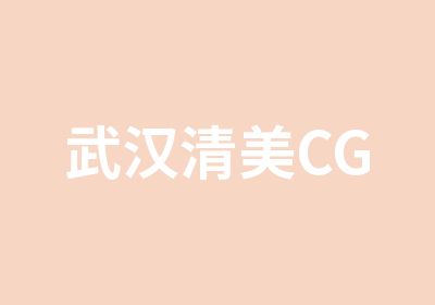 武汉清美CG