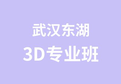 武汉东湖3D专业班