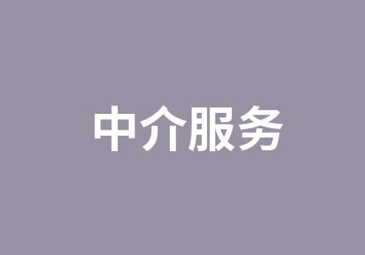 中介服务