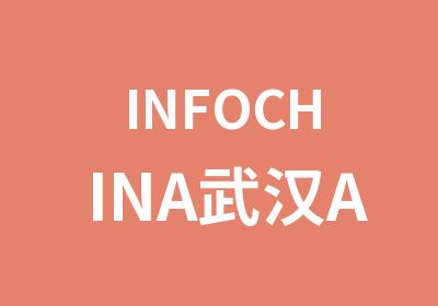 INFOCHINA武汉Access数据库