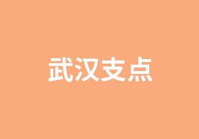 武汉支点