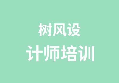 树风设计师培训