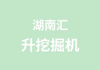 湖南汇升挖掘机