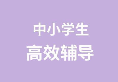 中小学生高效辅导