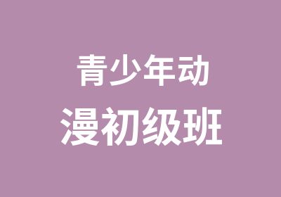 青少年动漫初级班