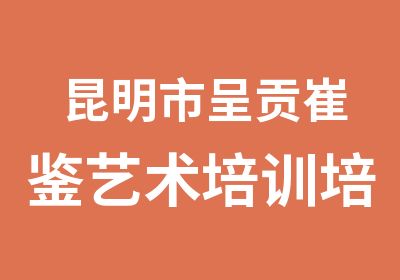 昆明市呈贡崔鉴艺术培训培训中心