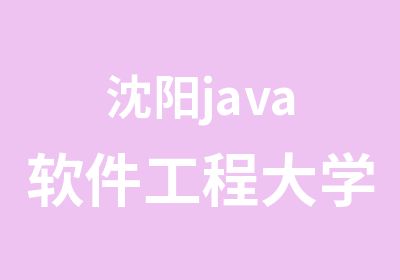 沈阳java软件工程大学生就业班