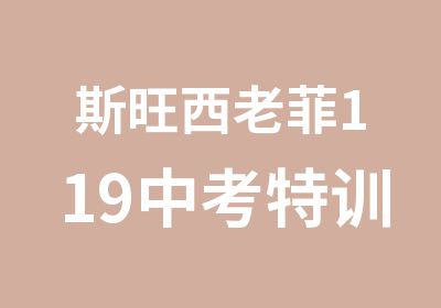 斯旺西老菲119中考特训