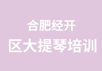 合肥经开区大提琴培训