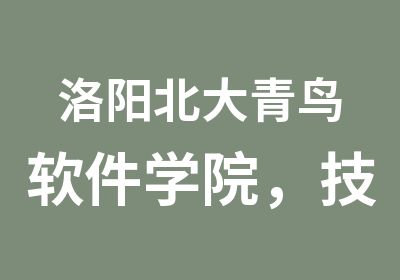 洛阳北大青鸟软件学院，技能+学历让你高薪就业