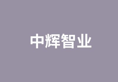 中辉智业