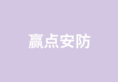 赢点安防