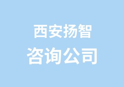 西安扬智咨询公司