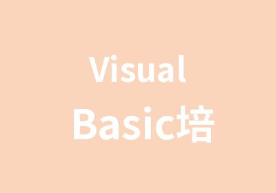 VisualBasic培训班