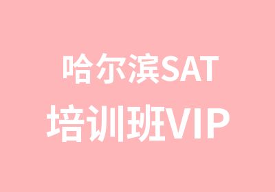 哈尔滨SAT培训班VIP班