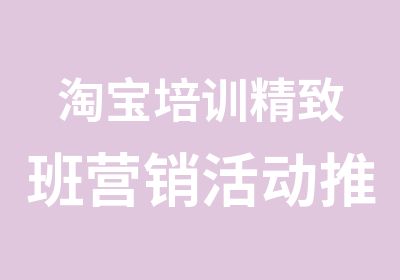 培训精致班营销活动推广秘笈