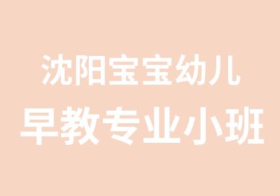 沈阳宝宝幼儿早教专业小班课程培训