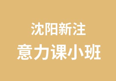 沈阳新注意力课小班