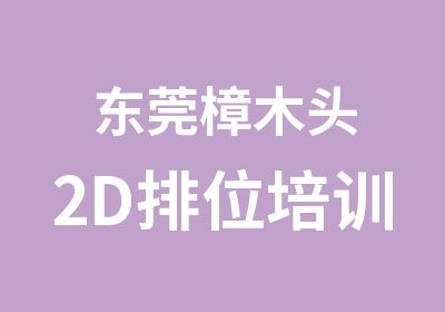 东莞樟木头2D排位培训