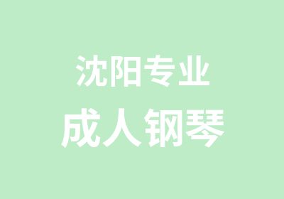 沈阳专业成人钢琴