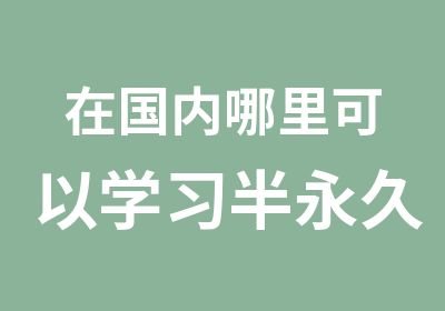 在国内哪里可以学习半永久