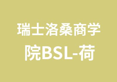 瑞士洛桑商学院BSL-荷兰商学院BSN全球商业DBA项目