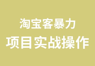 客暴力项目实战操作