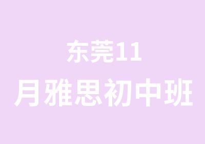 东莞11月雅思初中班