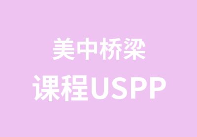 美中桥梁课程USPP