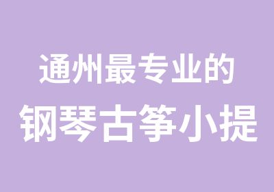 通州专业的钢琴古筝小提琴声乐培训