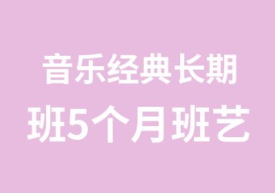 音乐经典长期班5个月班艺考培训班